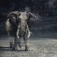 The elephant hotel 120x130cm